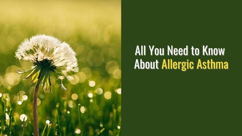 All You Need to Know About Allergic Asthma